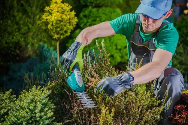 landscaping services Northeast Ithaca